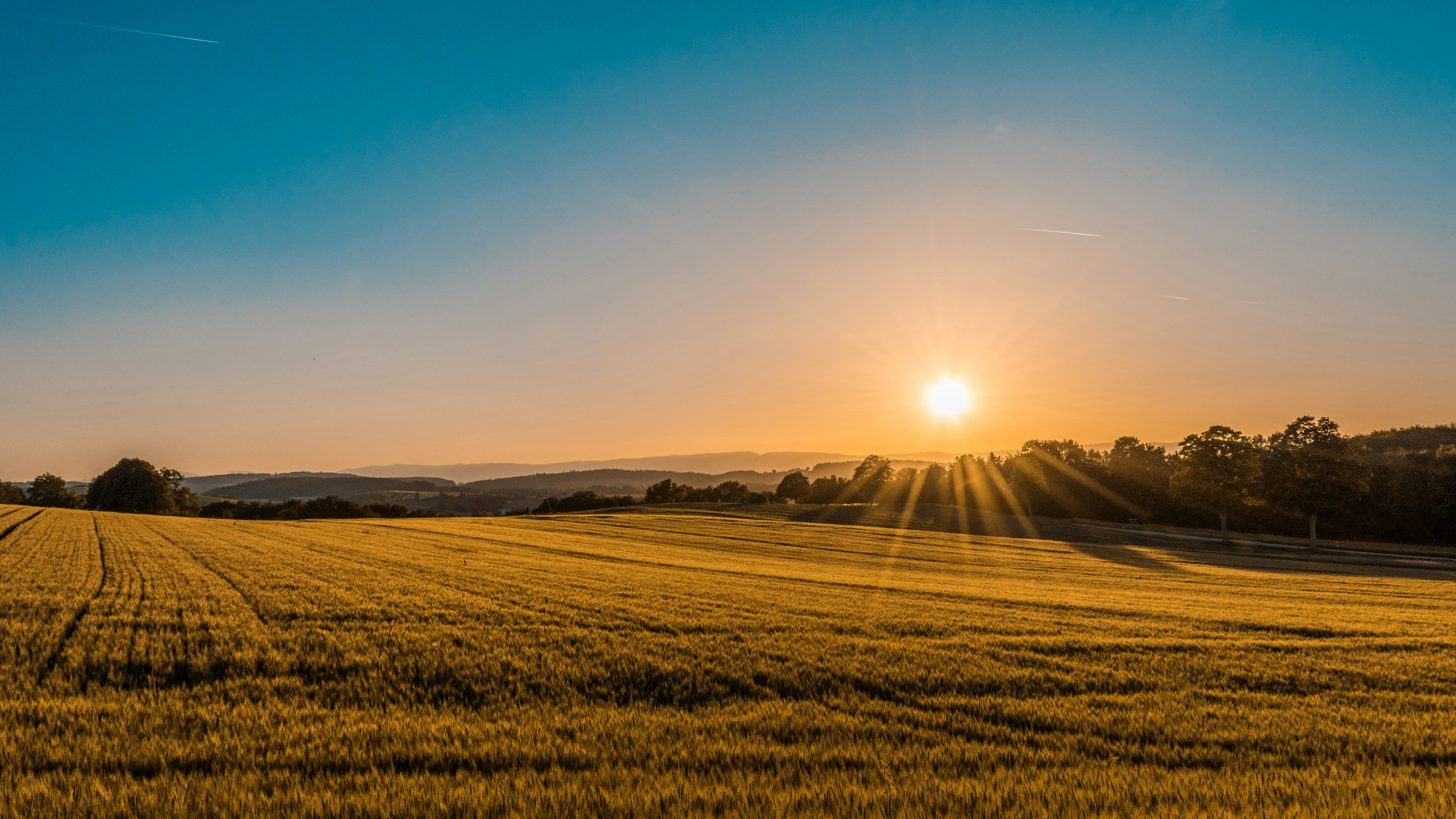Poland’s solar generation boom and the decline in PV capture factor